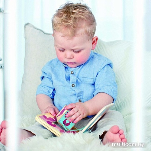 Развивающая игрушка Hape Пастель 2 в 1 E8523_HP