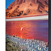 Телевизор Samsung UE65TU7560U