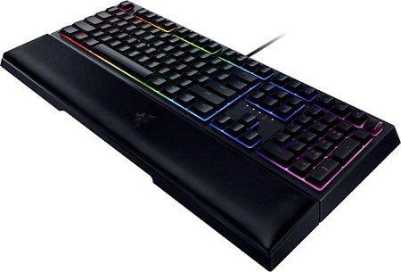 Клавиатура Razer Ornata V2