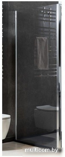 Душевая стенка Allen Brau Priority 3.31043.00 89x200 294072 (хром)