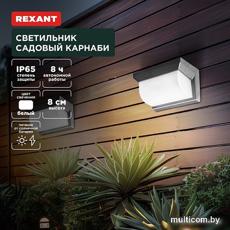 Уличный настенный светильник Rexant Карнаби 602-2415