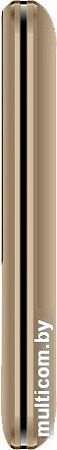 Мобильный телефон BQ-Mobile BQ-2826 Boom Power (золотистый)