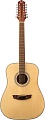 Акустическая гитара Flight D-200/12 NA