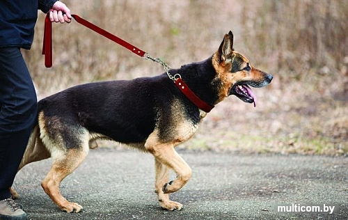 Angel Pet Rio Martingale 30533/AG (красный)