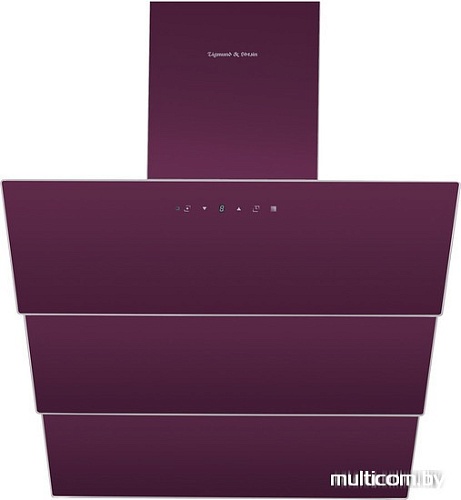 Кухонная вытяжка Zigmund & Shtain K 219.61 V