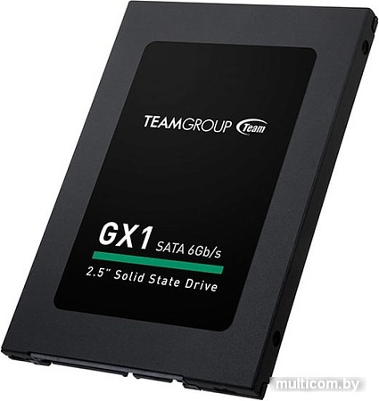 SSD Team GX1 120GB T253X1120G0C101