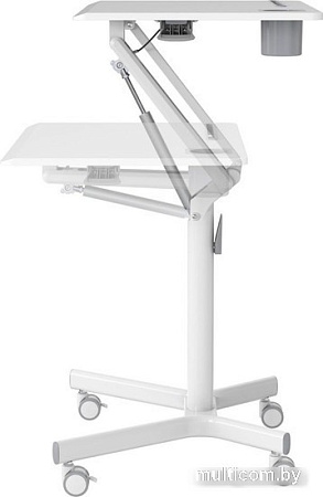 CACTUS CS-FDS101WWT