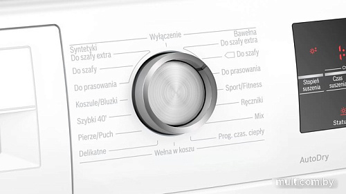 Сушильная машина Bosch Serie 6 WTR87TE0PL