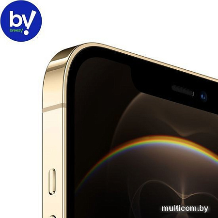 Смартфон Apple iPhone 12 Pro Max 128GB Воcстановленный by Breezy, грейд C (золотистый)