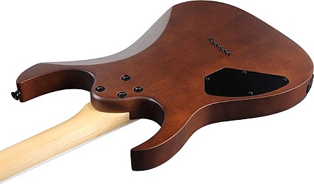 Электрогитара Ibanez GRG121DX WNF