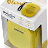 Беспроводная колонка SmartBuy Bloom SBS-170