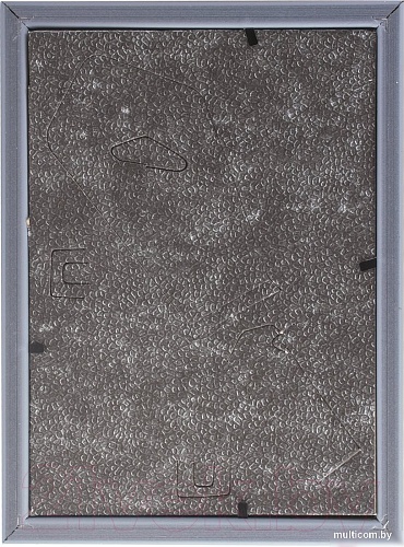 Фоторамка BRAUBERG HIT5 391067 (серебристый с двойной позолотой)