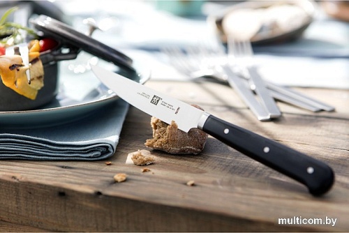 Набор ножей Zwilling 39029-000 (4 шт)