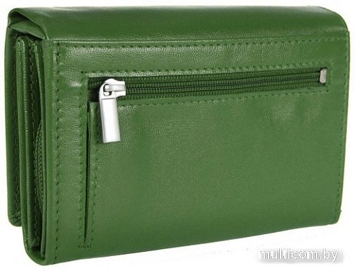 Кошелек Bellugio AD-118R-068 (зеленый)