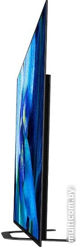 Телевизор Sony KD-55AG8