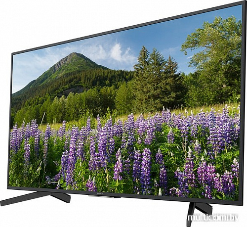 Телевизор Sony KD-49XF7096