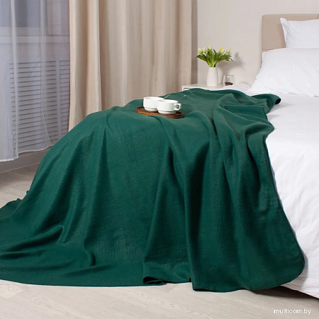 Плед Casa Conforte London Basic 130x165 6155337 (зеленый)