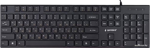 Клавиатура Gembird KB-250