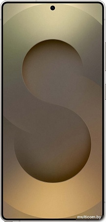 Телефон Samsung Galaxy S25 Ultra SM-S938N 12GB/1TB (серый титан)