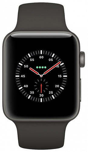 Часы Apple Watch Edition Series 3 38mm with Sport Band