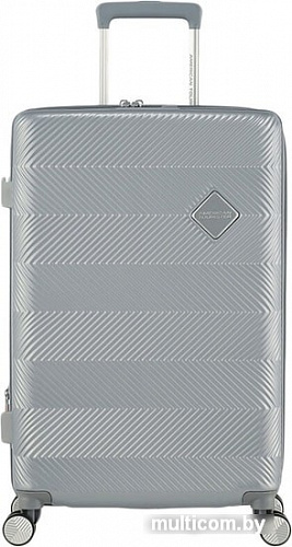 Чемодан-спиннер American Tourister Flylife Sky Silver 67 см