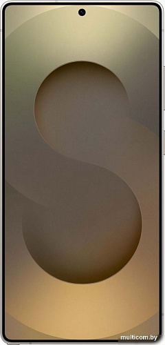 Телефон Samsung Galaxy S25 Ultra SM-S938N 12GB/1TB (серый титан)