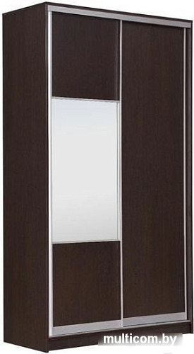 Шкаф-купе Рэйгрупп 120450 VVX Elgon РГ-12.05 (венге/хром)