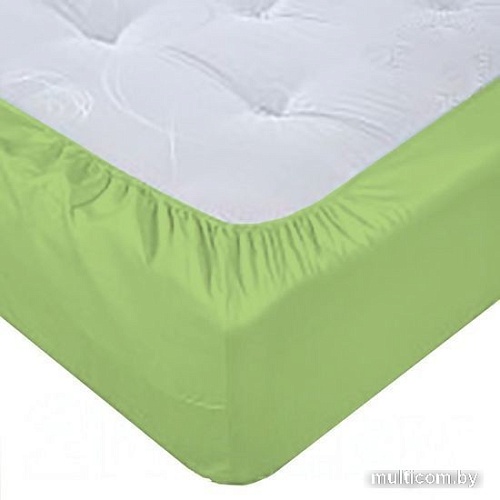 Постельное белье Luxsonia Поплин на резинке 80x200 Мр0040-16 (мохито)