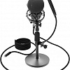 Микрофон Ritmix RDM-175