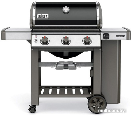 Гриль Weber Genesis II E-310 GBS