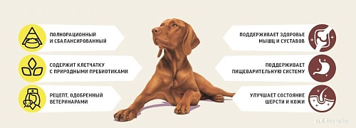 Сухой корм для собак Деревенские лакомства Холистик Премьер. Говядина с рисом 7 кг