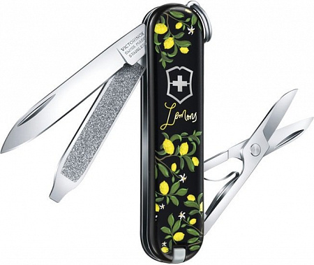 Мультитул Victorinox Classic Limited Edition 2019 0.6223.L1905