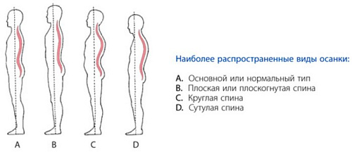 Корректор осанки Польза 0502 (р.4, бежевый)