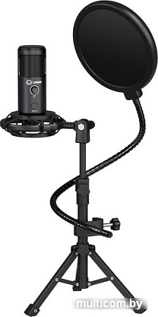 Микрофон Lorgar Voicer 721