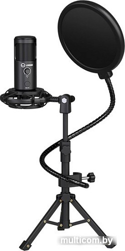 Микрофон Lorgar Voicer 721