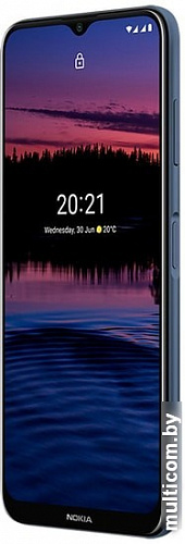 Смартфон Nokia G20 4GB/64GB (грозовое небо)