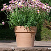 Кашпо Cermax Calima Antik T-227-055-21-P