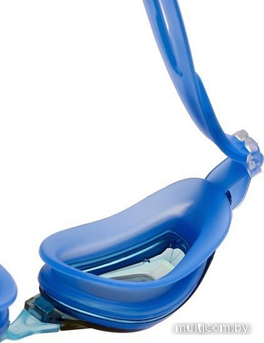 Очки для плавания Atemi B1001M (синий)