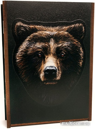 Пазл Woodary Медведь 3213