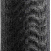 Беспроводная аудиосистема Audio Pro A10 (темно-серый)