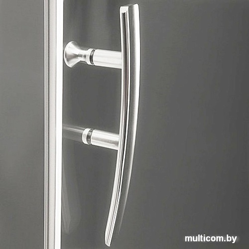 Душевая дверь Roltechnik Proxima Line PXD2N/140 (хром/матовое)