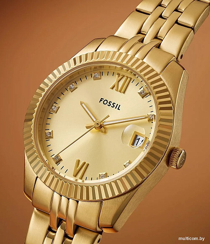 Наручные часы Fossil ES5338