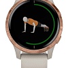 Умные часы Garmin Venu (песочный/золотистый)