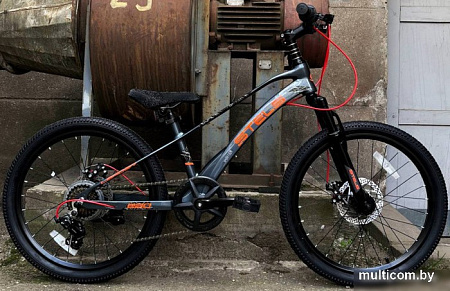 Детский велосипед Stels Leader 220 MD 2024 (серый)