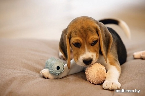 Игрушка для собак Beeztees 626848