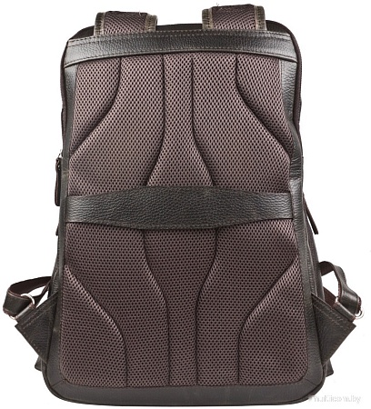 Carlo Gattini Sinfonica Bertario 3102-04 (темно-коричневый)