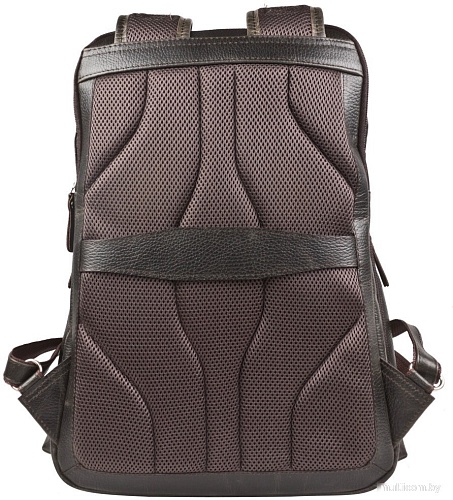 Carlo Gattini Sinfonica Bertario 3102-04 (темно-коричневый)