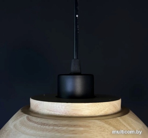 Подвесная люстра ImperiumLoft Eco1 101549-26