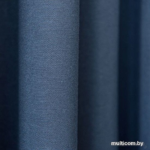 Комплект штор Pasionaria Билли 340x250 с подхватами (синий)