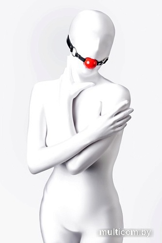 Кляп классический TOYFA 310305